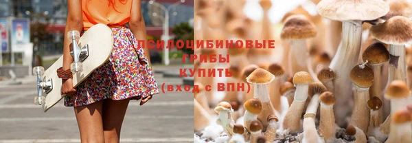 герыч Козловка