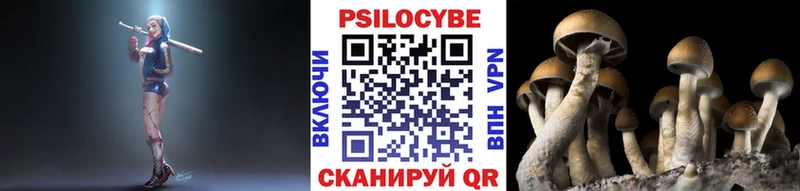 Псилоцибиновые грибы Cubensis  блэк спрут ссылки  Вихоревка  магазин продажи наркотиков 