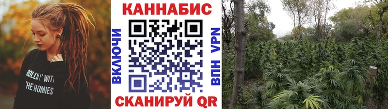 Бошки марихуана OG Kush Вихоревка